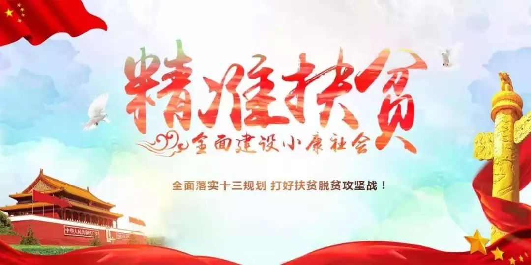 人口稳定脱贫_脱贫攻坚图片(3)