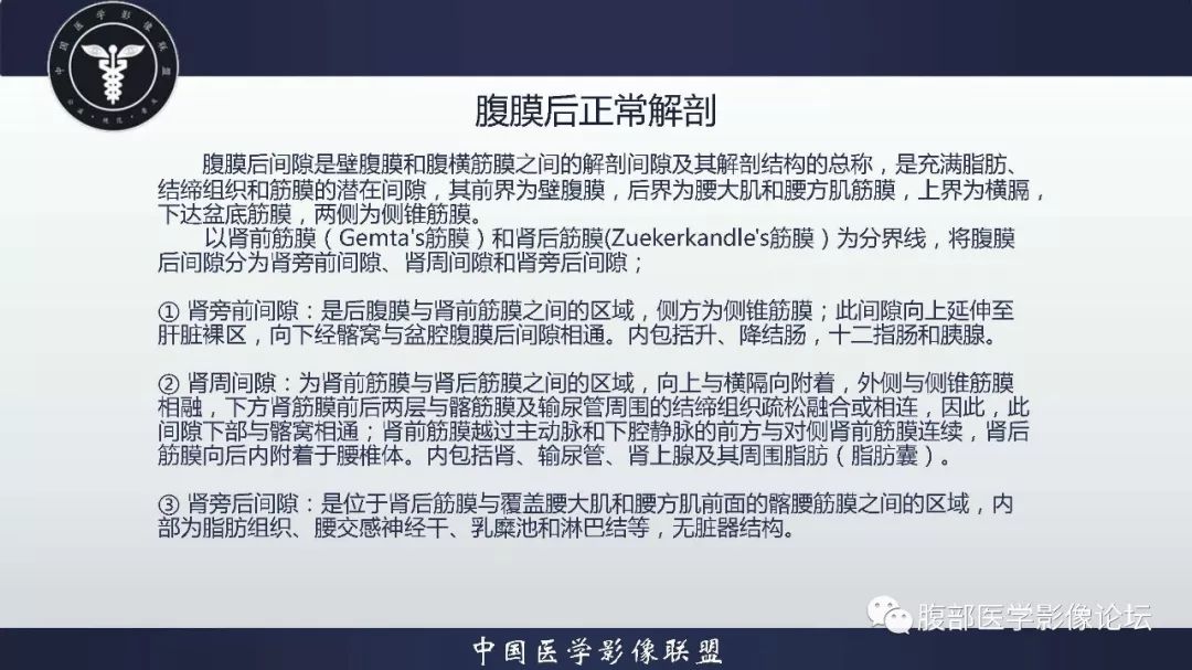 腹膜后间隙是壁腹膜和腹横筋膜之间的解剖间隙及其解剖结构的总称,是