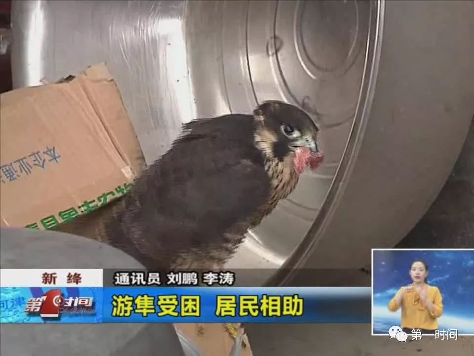 ccbe1a4bacfb49389acd2a7851790d31.jpeg