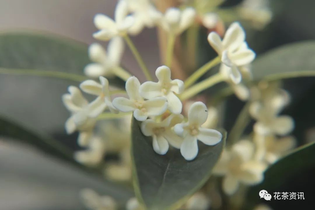 d4f1bacdae654a9f915414f896f1e9e0.jpeg
