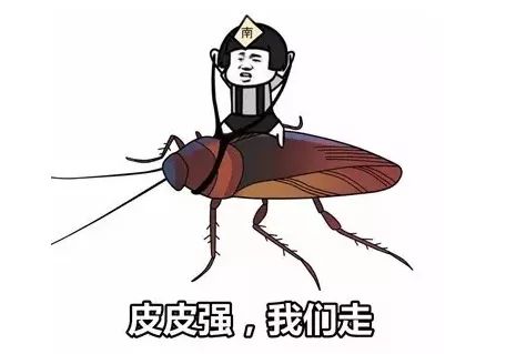 200人口蟑螂_南方蟑螂图片