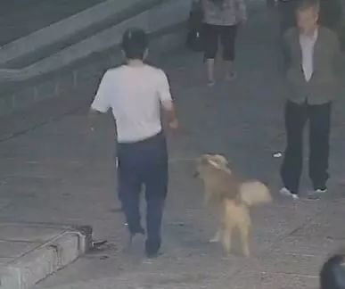 犬什么日成语_成语故事图片(3)