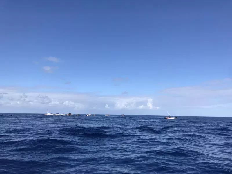 怎么描述大海的温柔 e68b2f21c7874ab2b28299adb2a1f86f.jpeg