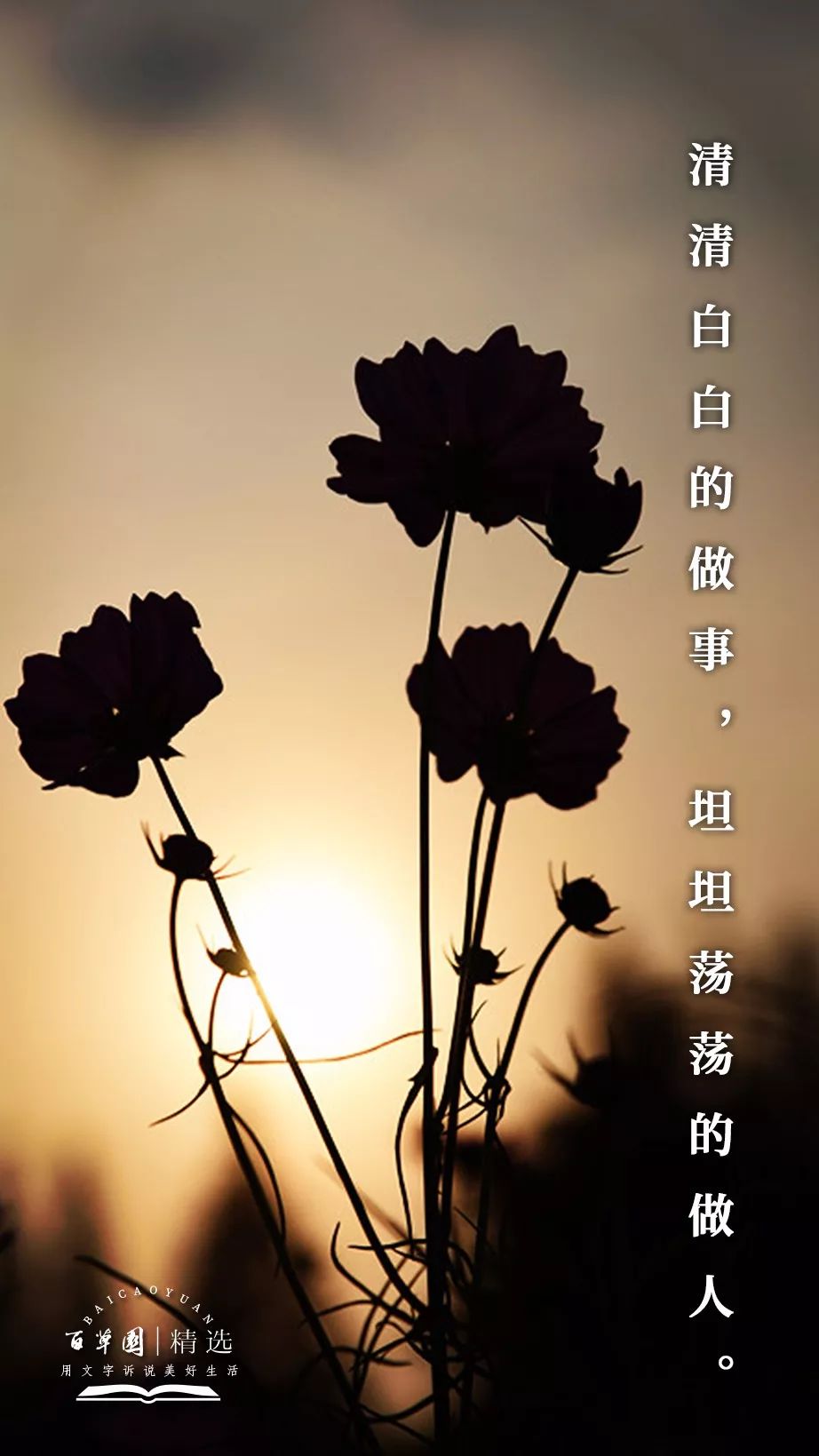 生活禅67清清白白的做事坦坦荡荡的做人