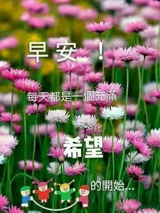 朋友圈很好看的早安祝福问候语,最美早上好图片表情带