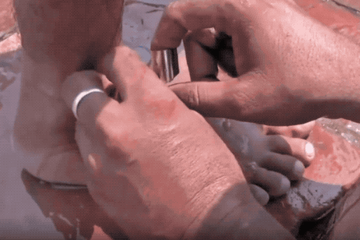 1266fb7fa56745b386e18c92527f3339.gif