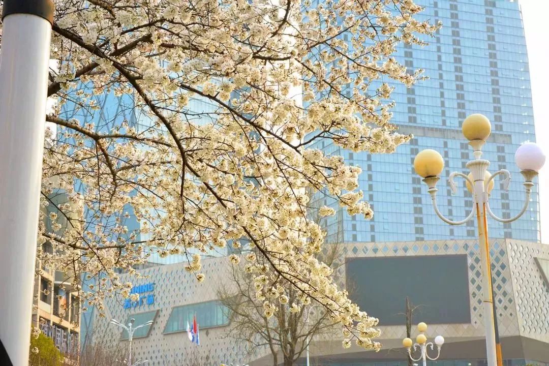 镇江实际人口_镇江金山寺