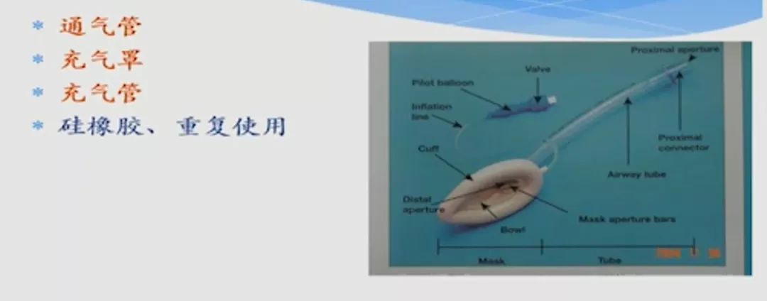 邓晓明教授喉罩和插管型喉罩在困难气道的应用