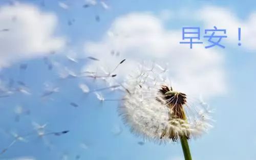 怎么才能做到放平心态 19059cfe88c84327911a4325cf94b74e.jpeg