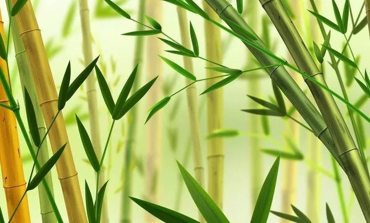 水生木相生是什么意思 227964d69af646f7bee4c36862b2f96d.jpeg