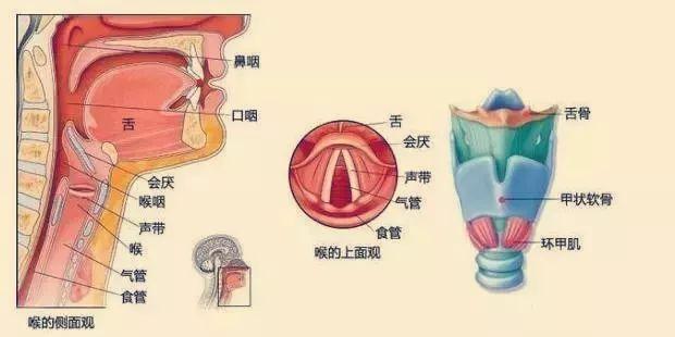 急性会厌炎!