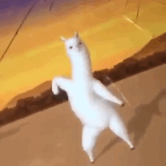 335_335 gif 动态图 动图