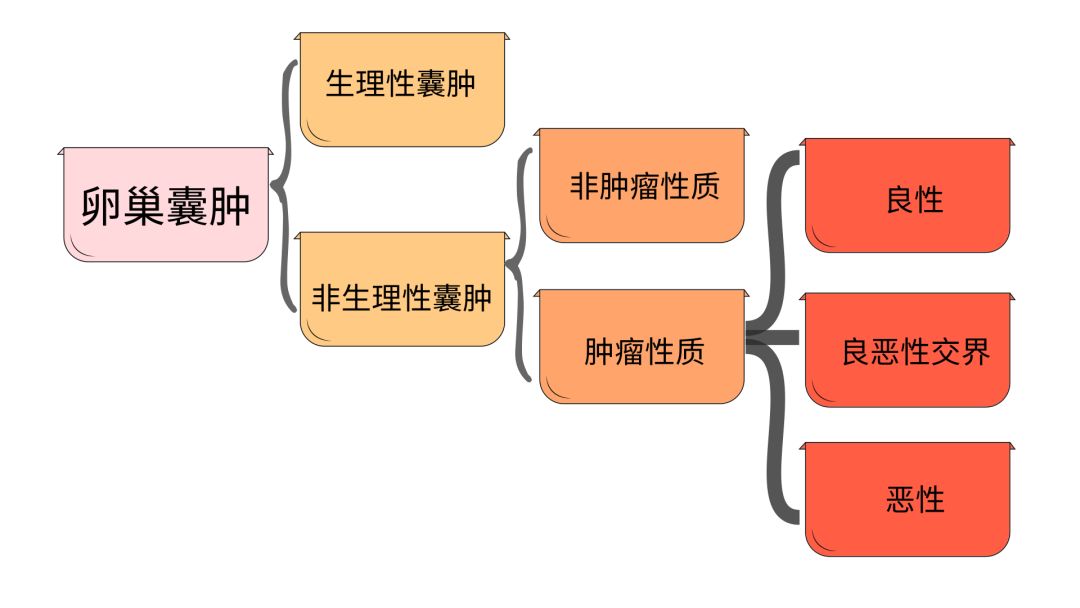 卵巢癌人口_卵巢癌肚子大的图片(3)