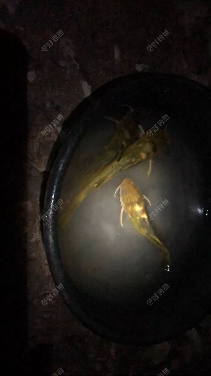 蚯蚓如何防小鱼 300fa285881b4461becb56350ffa6900.jpeg