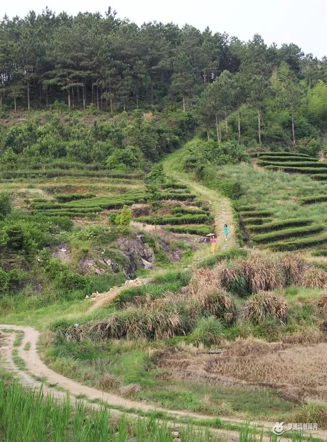 山山脚北面,秀美的百丈龙潭瀑布之东,东与叠石村交界,西与岭兜村交界