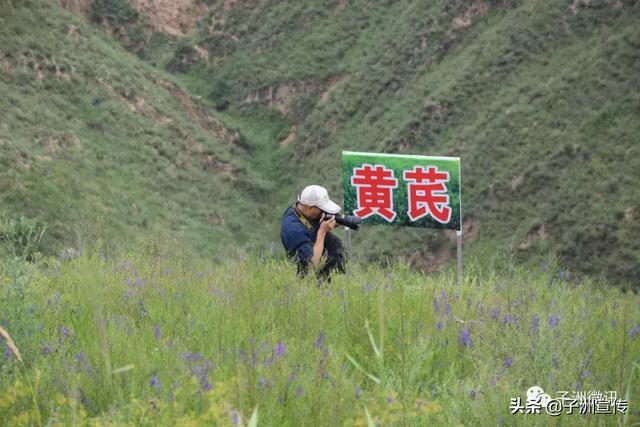 子洲GDP_凝心聚力谱华章 子洲县2018年经济社会发展综述