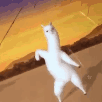 羊驼跳舞表情包合集在吗早安晚安