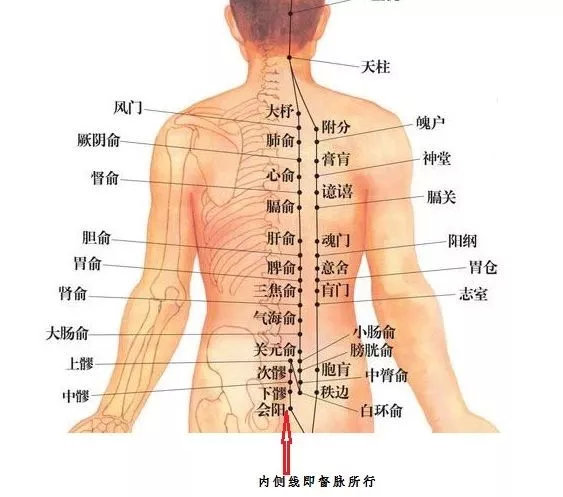 刘秀梅老师艾灸背部这条经络贯穿一身阳气轻松一整年
