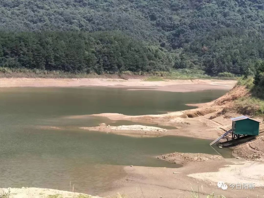 我县启动抗旱Ⅳ响应 陶港镇优先保居民饮水_水库