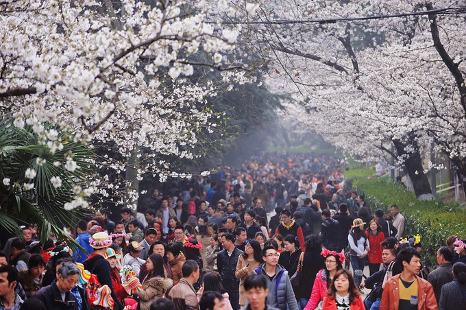 旅行干货，细数湖北网红打卡地，你有去过吗？(图4)