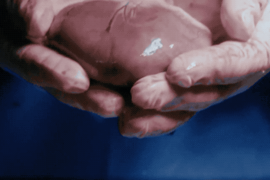 6967ed7317e7472b92245bf057c5b68b.gif
