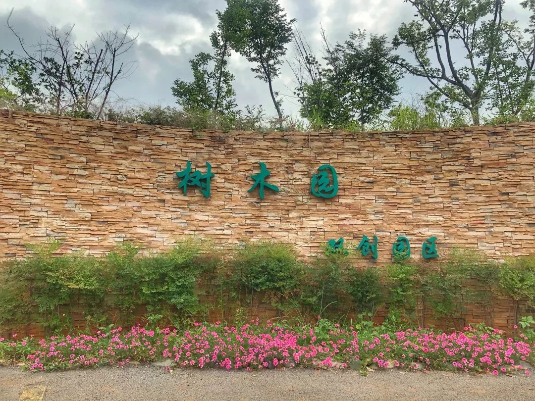静心学习的好去处 西林作为一所林业大学 每年在后山树木园中开展"永