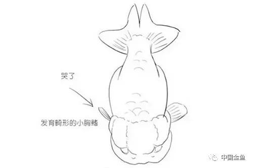 刺枪什么成语_肉刺长什么样子图片