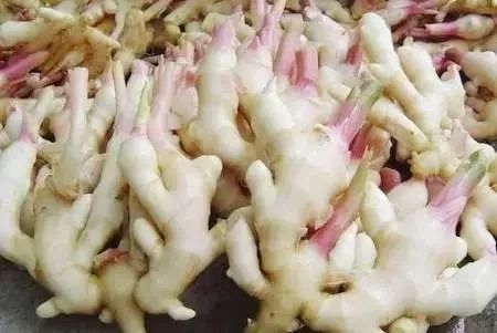 生姜怎么腌制又脆又嫩 70347e9ecfb344f3a0dbb921f3ad2c91.jpeg