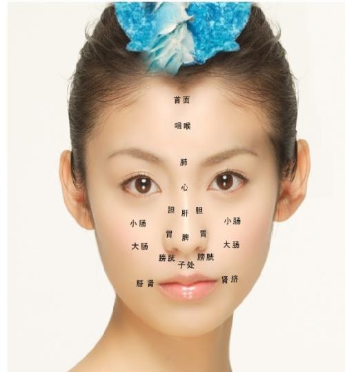 什么样的鼻子是财富鼻 7166a4961e1e4b909bb8013ebb381c31.jpeg