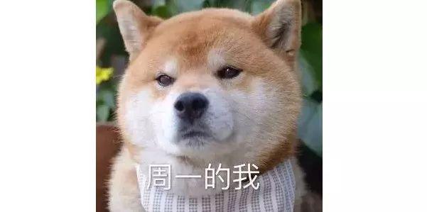 表情包丨周五离周一那么近