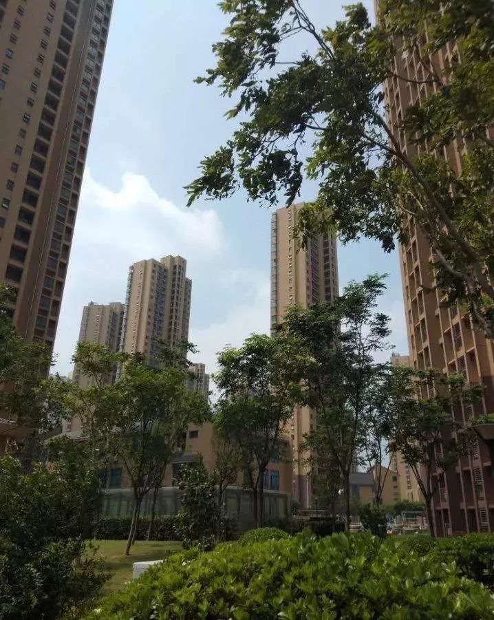 无锡人均住房面积_无锡住房信息表(3)
