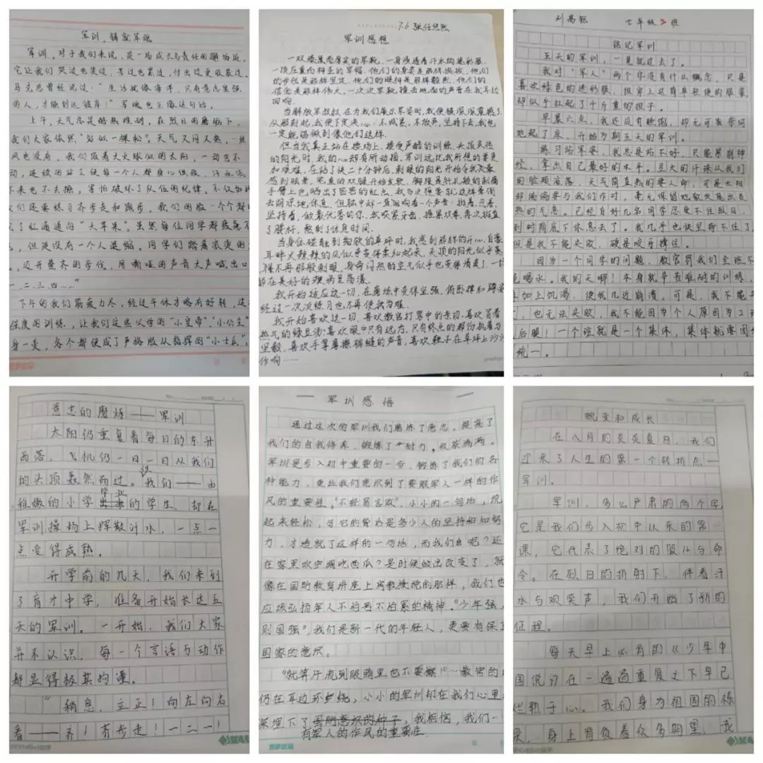 军训感悟展收获