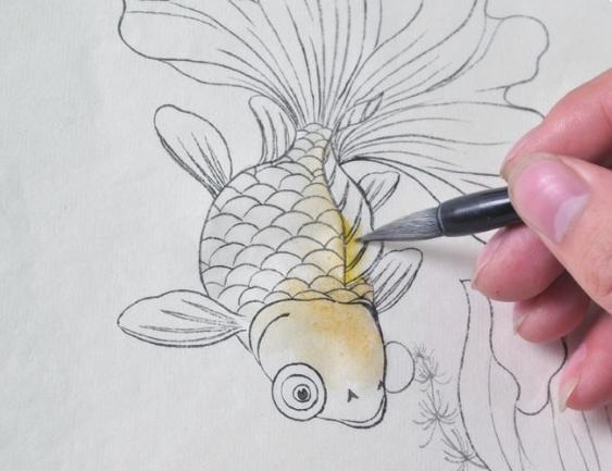 3,以同样的调色与用笔方法,对金鱼的鳞片进行分染.