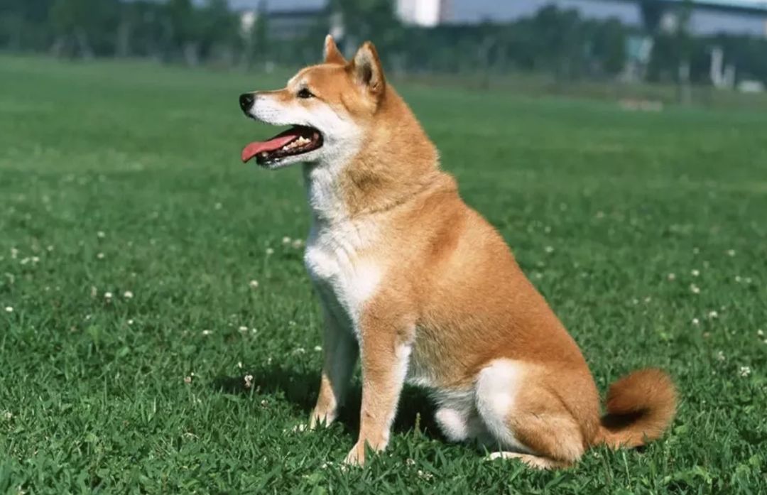 94e95abe0f59472d8112319b2c63a3ab.jpeg