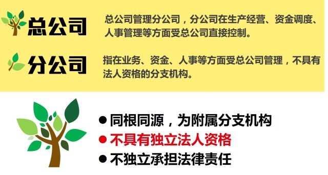 一张图讲懂公司类别:母公司、子公司、总