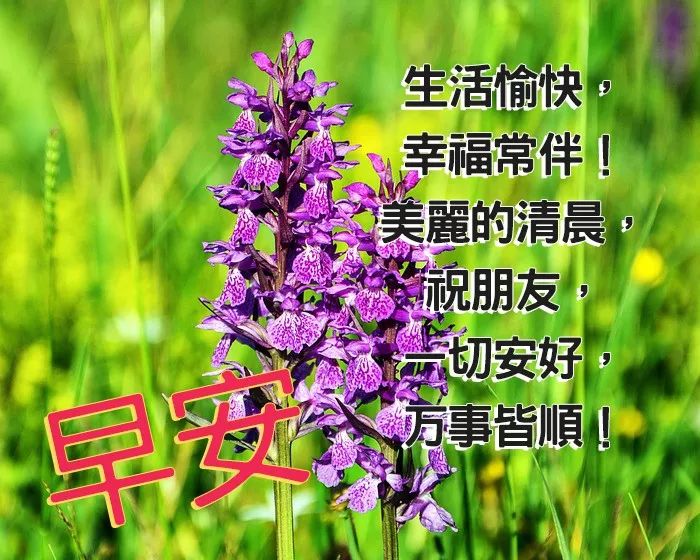 2019特漂亮的早安祝福唯美图片带字温馨 最新早上好祝福问候短信