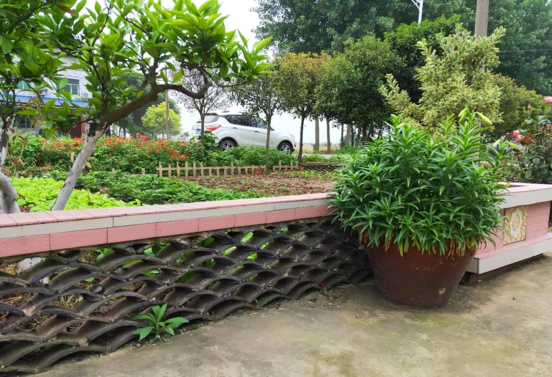 搭建起了独具特色的庭院和菜园