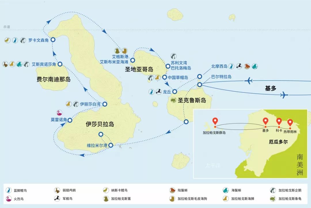 100多座小岛西经90度,南纬1度,横跨赤道加拉帕戈斯群岛位于南美洲海岸