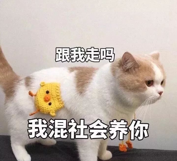 acdc54868106435093420d71548c0912.jpeg