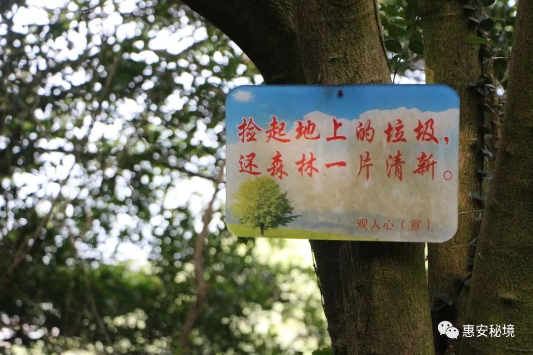 惠安多少人口_惠安系有多少个产区(2)
