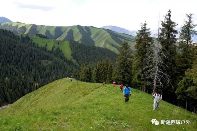 谷姓人口数量_谷姓图片微信头像(2)