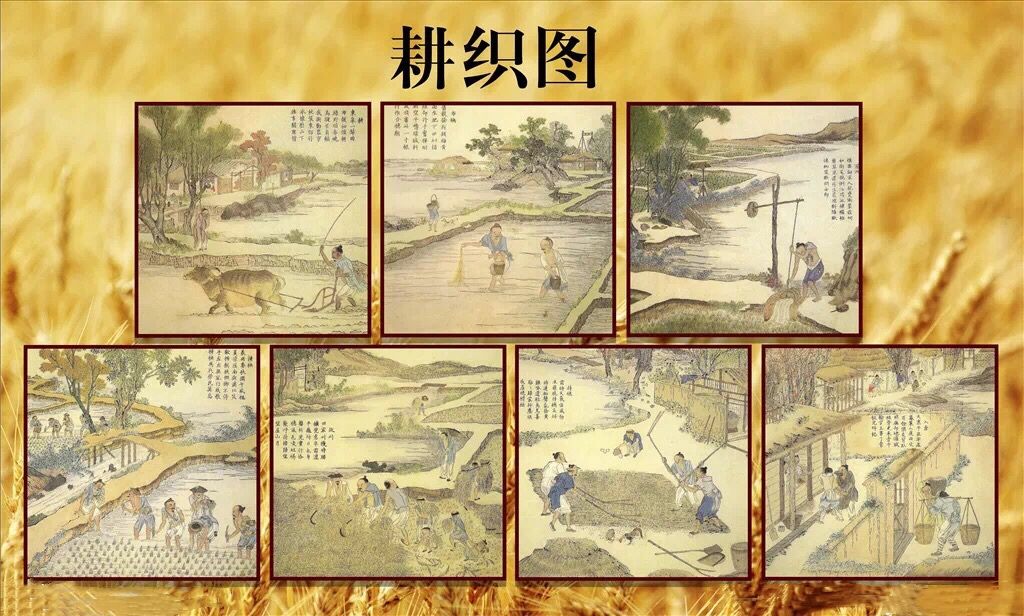於潜"耕织图"  临安於潜镇以楼璹《耕织图》为载体,创建耕织图文化园