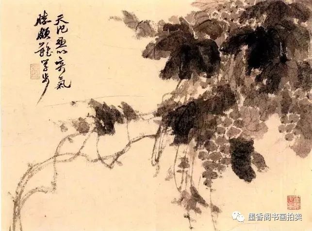 墨葡萄图吴昌硕 墨葡萄图吴昌硕 墨葡萄图吴昌硕 墨葡萄图张大千 墨