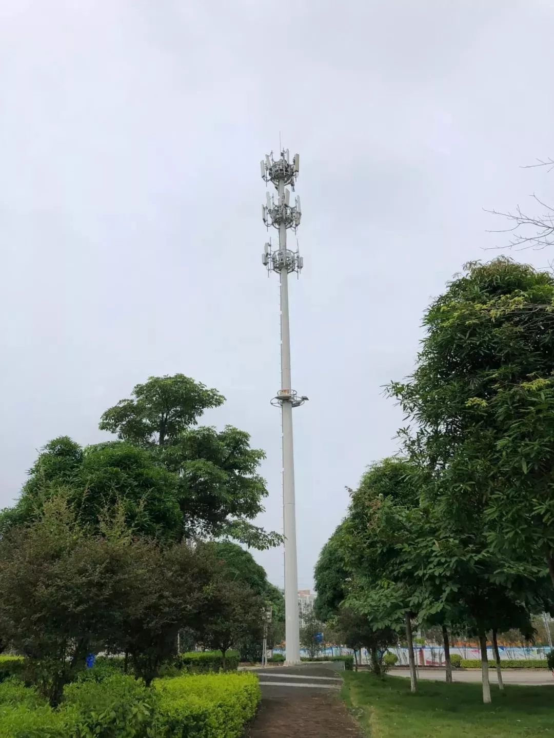 5g基站建设规划由铁塔公司会同各基础电信企业统筹提出 各市人民政府