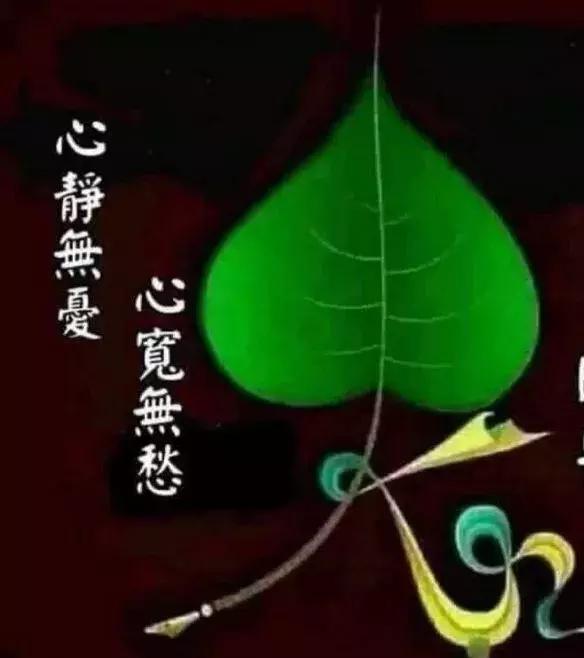 每天清晨,祝你温馨无比,拥抱一天的美好心情,早安
