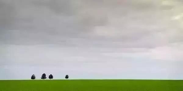 c72417b31e9c4e5fb00c5f7a691680af.JPG