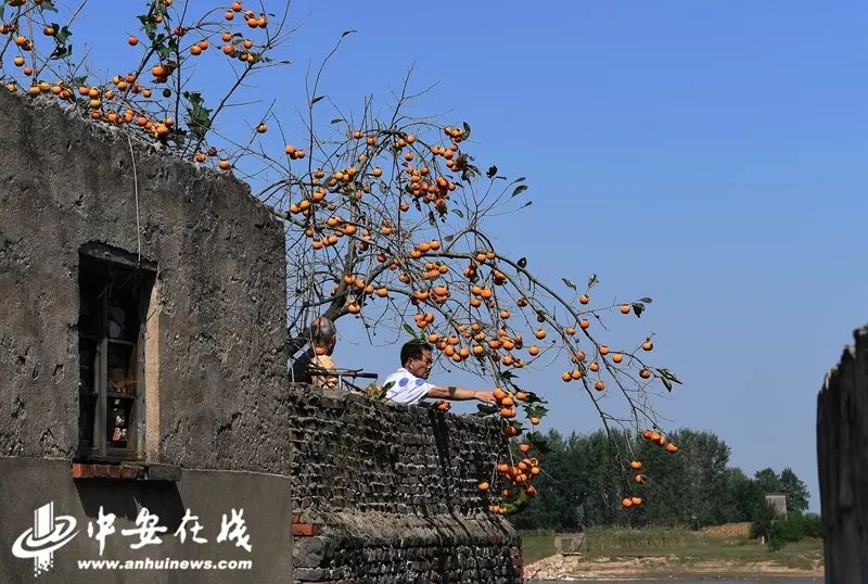 安徽凤阳临淮关人口_凤阳临淮中学教师照片