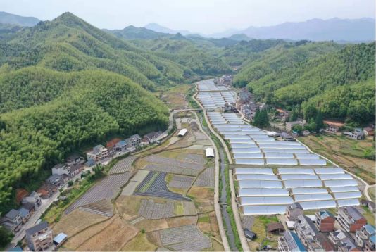 潮阳乌窖村人口_潮阳大坑村图片