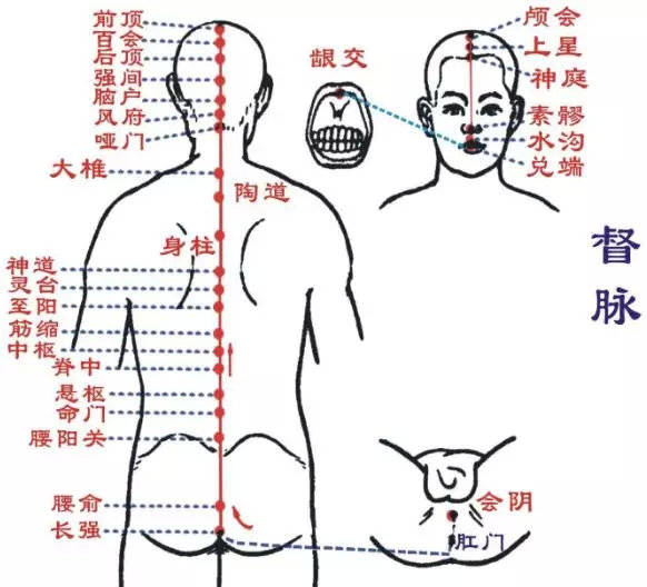 刘秀梅老师艾灸背部这条经络贯穿一身阳气轻松一整年