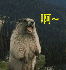 d5aa5112da38477888bc3156a96fe8f8.gif